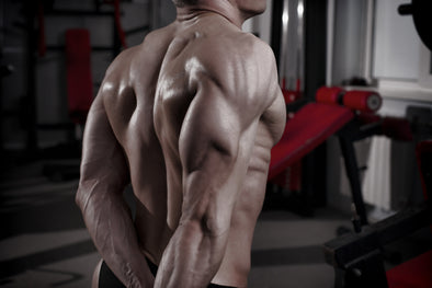 8 Triceps Exercises For Mass And Angularity
