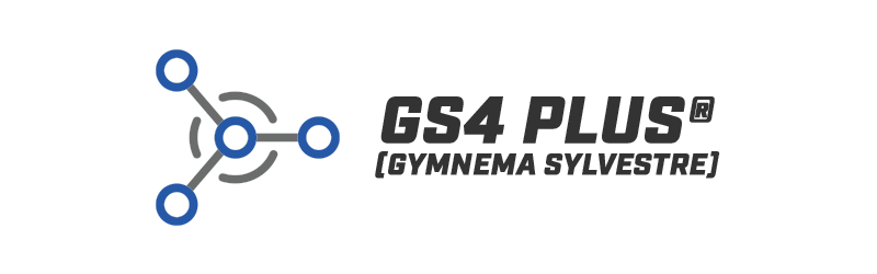 Ingredient Spotlight GS4 PLUS (Gymnema Sylvestre) – Ajna Trading